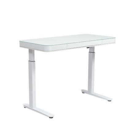 China Motor Adjustable Economic Single Lift Height (Height) Adjustable Sit Stand Electric Lift Office Study Table White for sale