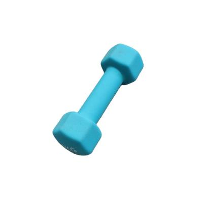 China Universal Durable Using Low Price Plastic Dip Dumbbells Dip Cast Plastic Dumbbell for sale