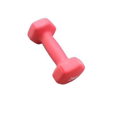 China Universal Top Selling Guaranteed Quality Plastic Dip Dumbbells Dip Cast Plastic Dumbbell for sale