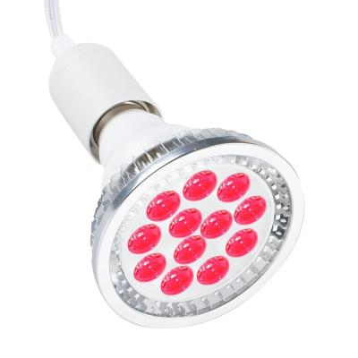 China DGYAO 660nm Repair Skin Relief Led Red Light Therapy Bulb Lamp for Skin and Pain Relief (Silver) for sale