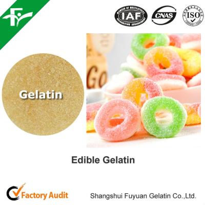 China Gelatina bovina comestible sin sabor 200-280 Flower Beef Skin Gelatina en polvo para la industria alimentaria en venta