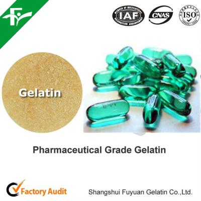 China High Quality Pharmaceutical Grade Bovine Gelatin For Capsules for sale