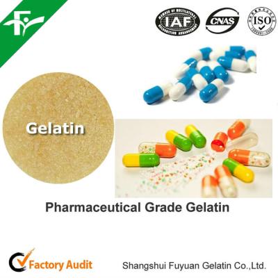 China 5 Year Shelf Life Pharmaceutical Gelatin Powder Viscosity 3.0-5.0 MPa.s Light Yellowish for sale