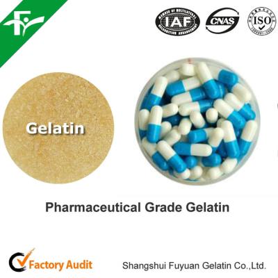 China Pharmaceutical Grade Gelatin Powder From Bovine Source With 160-280 Bloom Gel Strength for sale