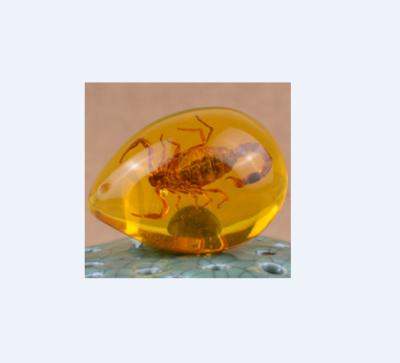 China China in Amber Insects Collection Figurine Art and Collectible Folk Art TV and Movie Character 5cm Scorpion Resin, Plastic NC; FUJ Goodya for sale