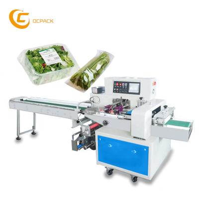 China Multifunctional Food Pillow Meat Fruit Vegetable Food Packing Machine for sale