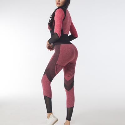 China Breathable Women Tracksuit Set Seamless 2 Piece Yoga Set Yoga Sport Wear Yoga for sale