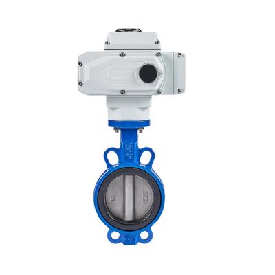 China DN 50 General Electric On-Off Valve Butterfly Valve Lightweight Removable Cast Iron Valve Customizable Plate for sale