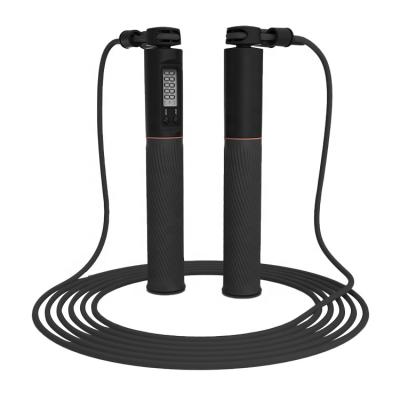 China ABS Wholesale Sports Training Smart Digital Weighted Digital Jump Rope for sale