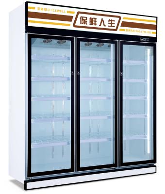 China Single-temperature Refrigeration Equipment Commercial Straight Use Multi Door Cooler Glass Display Fridge for sale