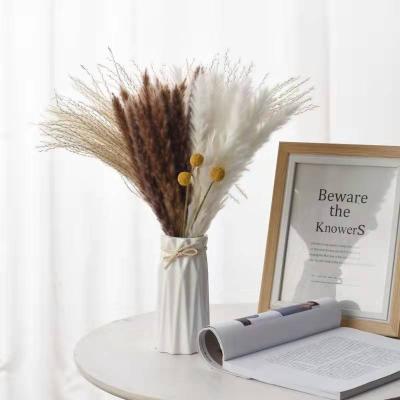 China pampas and other popular new dry plant pampas grass packaging dried pampas grass bouquet for home wedding decor for sale