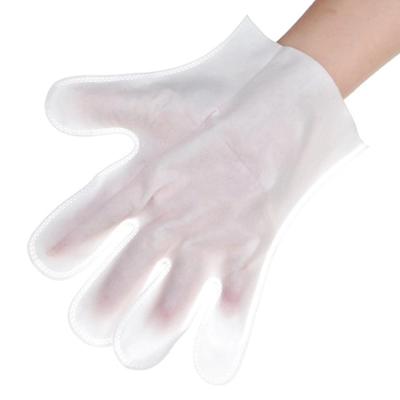 China 2021Amazon Pet Viable Dry Cleaning Products Glove Disposable Pet Massage Products For Cats And Dogs SPA for sale