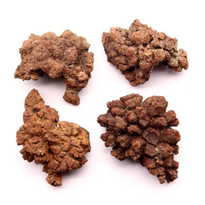 China Eco-friendly Natural Prehistoric Dinosaur Dung Specimens Rough Ore Ornaments Ore Teaching Collections Limonite Rare Mineralization for sale