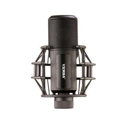 China Karaoke Eco-friendly Live Mc Recording Condenser Microphone Array Microphone S240 for sale