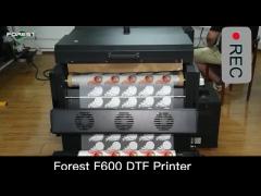 50HZ DTF T Shirt Printing Machine Digital A3 Heat Transfer Pet Film