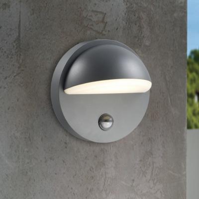 Cina Outdoor Mounted Aluminum Polycarbonate Landscape Globe Semi Motion Sensor Led Outdoor Garden Wall Lamp in vendita