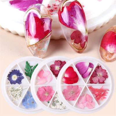 China 2021 3D Nail Supplies Dried Flowers For Nail Art Decorations In A Box for sale