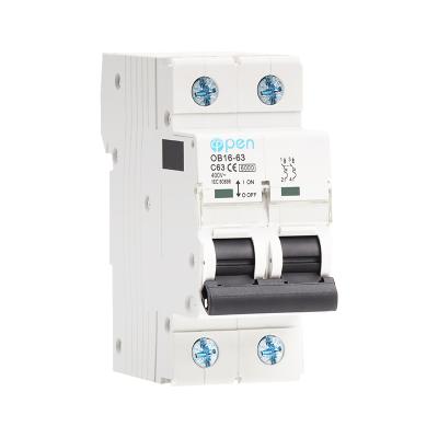 China Plastic silver miniature mcb circuit breakers high standard copper 1P 2P 3P 4P 6A 10A 16A 20A 25A 32A 40A 50A 63A 8KA mini ac circuit breaker for sale