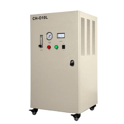 China Aquaculture in Stock Best Price 10LPM Oxygen Machine for Aeration in Fish Ponds for sale