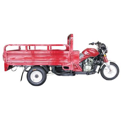 China Cargo 3 Wheel Gasoline 1 Seats Open Cargo Tricycles For Sale for sale