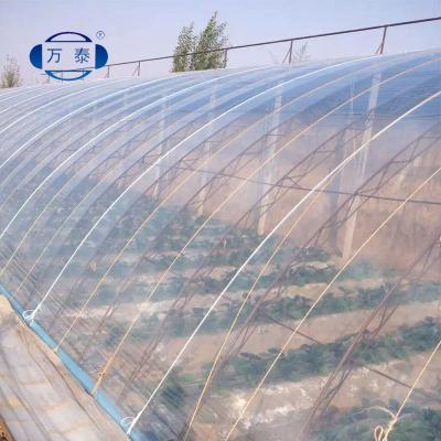 China Various Size Cost Price Greenhouse Plastic Sheet Durable Agriculture for sale