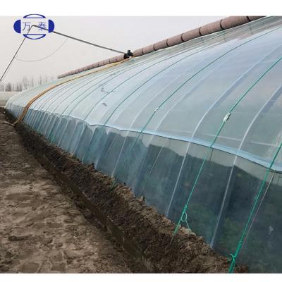 China Single Span PE PO Raw Material Factory Price Film Greenhouse For Agriculture Easy Installation for sale