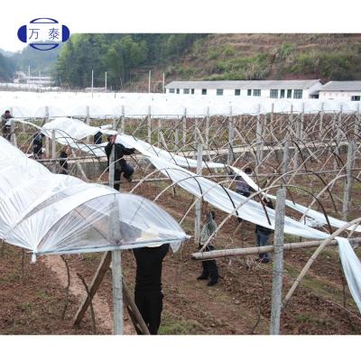 China Durable Anti Drip Anti Fog Multi-Span For Agriculture Greenhouse PO Film Anti Aging UV Plastic Sheet For Greenhouse for sale