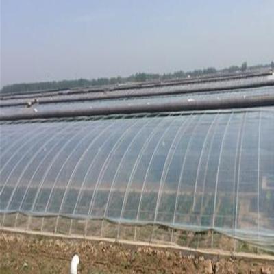 China Suitable For All Regions Low Cost High Quality Lightweight Spread Film Plastic Greenhouse Film for sale