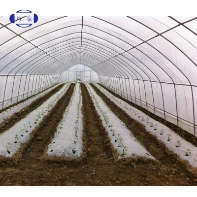 China Suitable For All Regions Precision Customized Conversion Light Film Reinforced Plastic Film For Greenhouse Vegetable Growing for sale