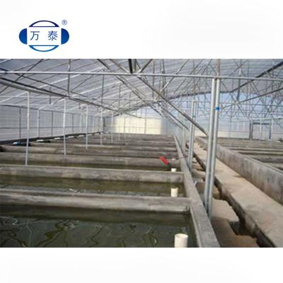 China Durable Quality Products Fish Plastic Shrimp Aquaculture Film Greenhouse for sale