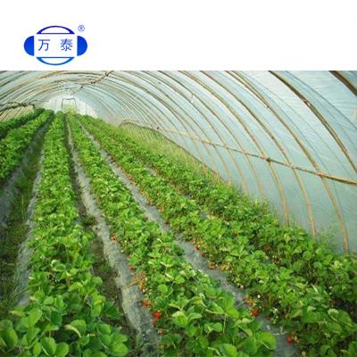 China Suitable for all regions factory greenhouse greenhouse film wholesale plastic agricultural plastic sheet for greenhouse for sale