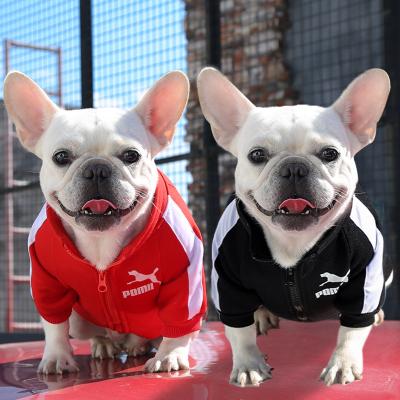 China Fashion Designer Casual Warm Jersey Sport Stocked Pet Clothing Supplies Jackets Coat Luxury Cotton Dog Clothes With Zipper for sale