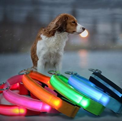 China Lights Rechargeable USB LED glow in dark dog collar adjustable polyester water resistant pet collars for safety night walking dogs for sale