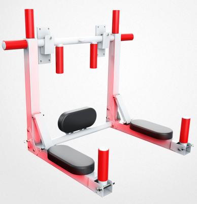 China Home Sport Exercise Wellshow Chin Up Bar Wall Mounted Pull Up Bar Dip Station for sale