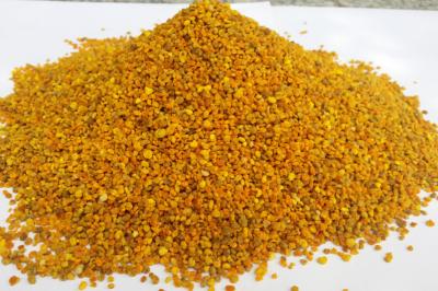 China Bee Pollen Competitive Price Good Quality Honey Organic Natural Bee Pollen Granules for sale