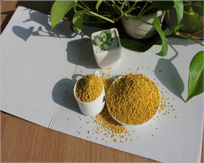 China Pure Clean Fresh Raw Pollen Bulk Bee Pollen Granules For Human Consumption for sale