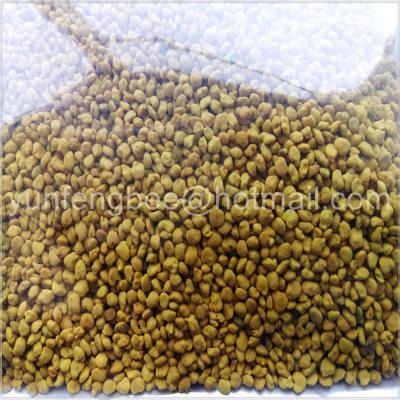 China Professional Raw Pollen / Rape Bee Pollen For Beauty Skin Care for sale