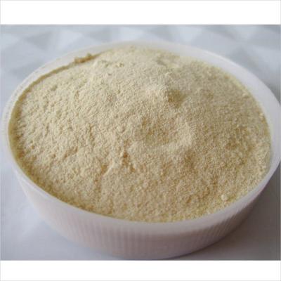 China 10-HDA 6.0% Freeze Dried Royal Jelly Powder Lyophilized For Health Care for sale