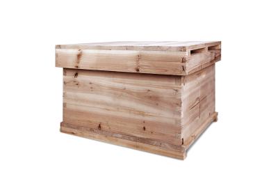 China Langtroth Type Bee Hive Equipment Beekeeping Fir Drying Wooden Bee Hives for sale