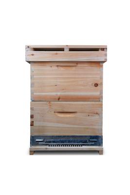 China 10 Frames Beekeeping Langstroth Beehive Bee hive Two Layer Hive with Full Hive Frame for sale