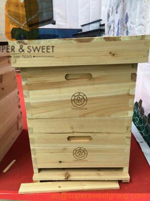 China 10 Frame 8 Frame Langstroth Hive , Beehive Langstroth Hive ISO9001 Available for sale