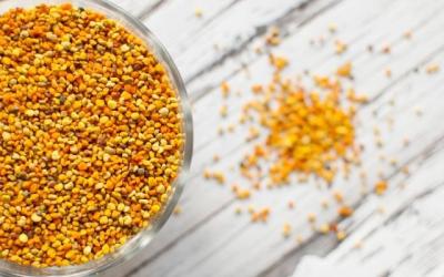 China Sunflower Bee Pollen Granules for sale