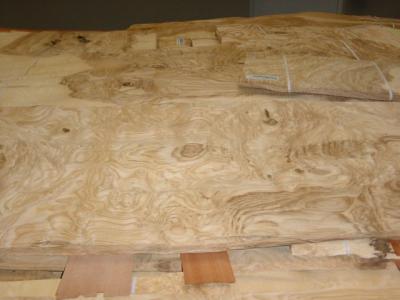 China ash burl veneer for sale