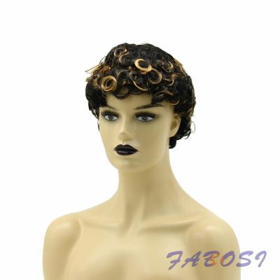 China Water Wave Brazilian Virgin Hair Small Fluffy Curly Short Wig for sale