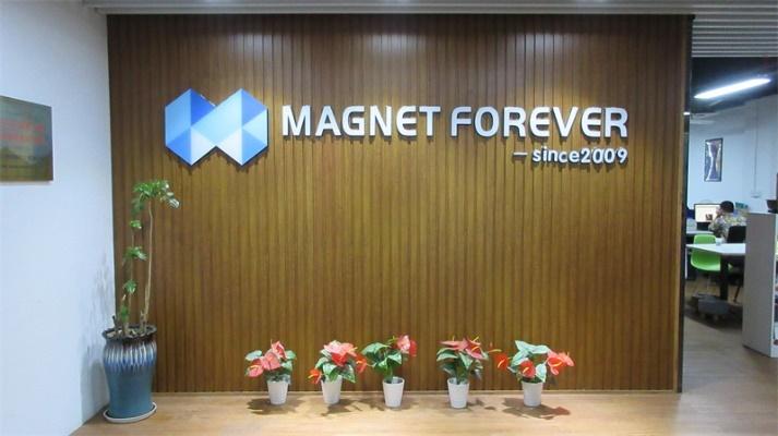 Fornitore cinese verificato - Xiamen Magnet Forever Electronic Co., Ltd.