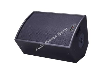 China 500W Versatile Stage Monitor Coaxial Passive Live Compact PA Speakers for sale