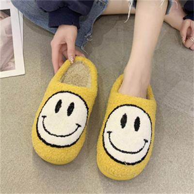 China New Arrivals Teddy Velvet Upper Footwear Soft Unisex Cute Terry Lining Slippers For Women Good Quality Fashion Trend for sale