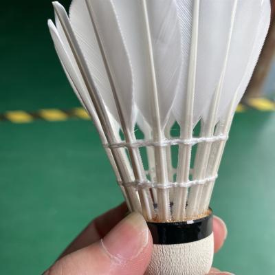 China professional tournament goose feather badminton shuttlecock in good quality wholesale for sale