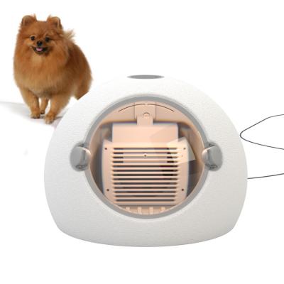 China Fully Automatic Small Viable Household Pet Dryer Drying Box Pet Hair Dryer Blowing Machine Cat Drying Box for sale