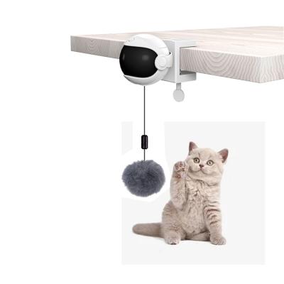 China Cheap Viable Electric Cat Interactive Plush Yo-Yo Lifting Ball Toy for sale